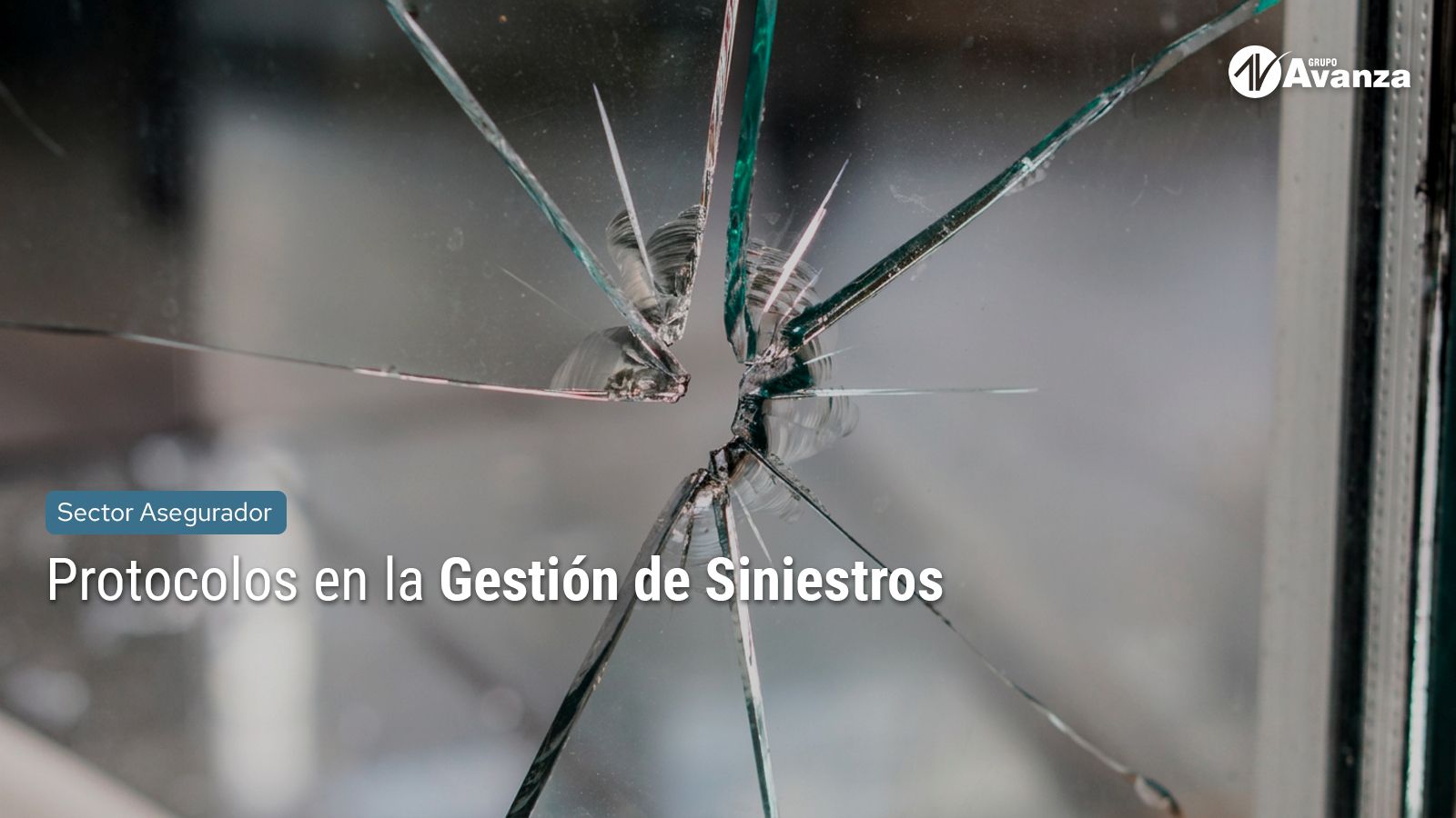 Protocolos en la Gestión de Siniestros
